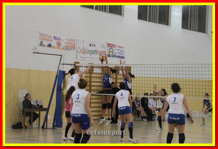 140305 Primula 116_tn.jpg